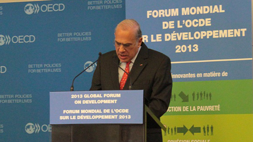 Vietnam contributes to 2013 OECD forum